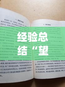 经验总结“望月有开挂工具吗”(其实有挂)