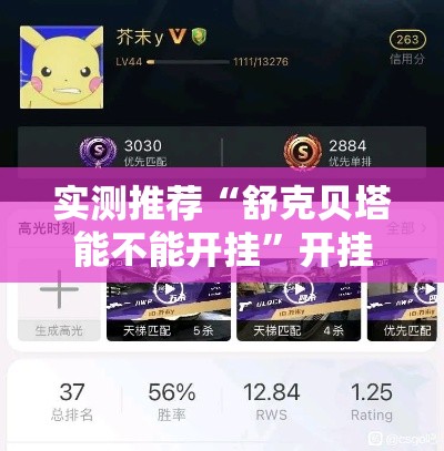 实测推荐“舒克贝塔能不能开挂”开挂详细教程