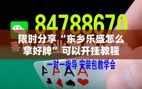 限时分享“东乡乐盛怎么拿好牌	”可以开挂教程