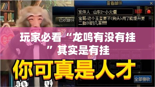 玩家必看“龙鸣有没有挂”其实是有挂