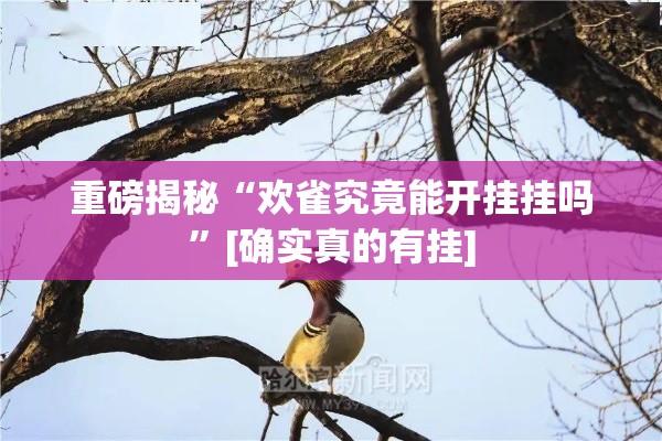 重磅揭秘“欢雀究竟能开挂挂吗”[确实真的有挂]