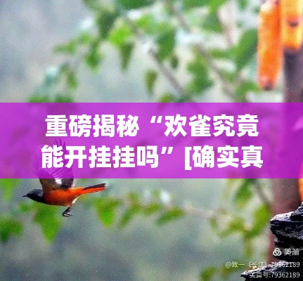 重磅揭秘“欢雀究竟能开挂挂吗”[确实真的有挂]