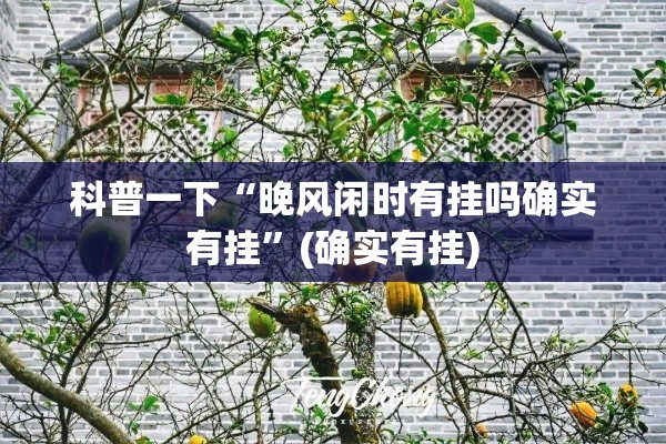 科普一下“晚风闲时有挂吗确实有挂”(确实有挂)