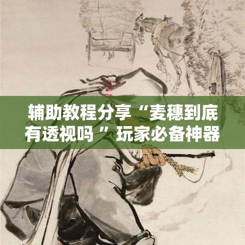 辅助教程分享“麦穗到底有透视吗 ”玩家必备神器