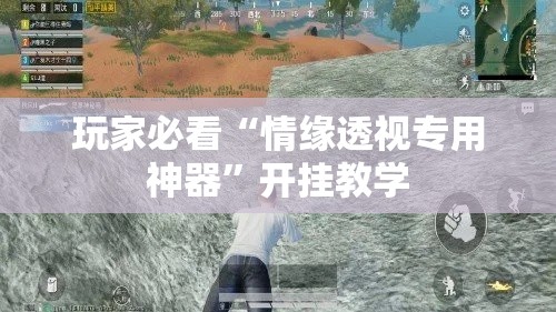 玩家必看“情缘透视专用神器	”开挂教学