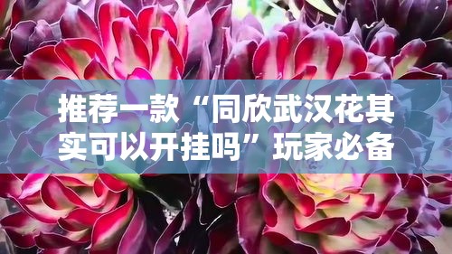 推荐一款“同欣武汉花其实可以开挂吗”玩家必备神器