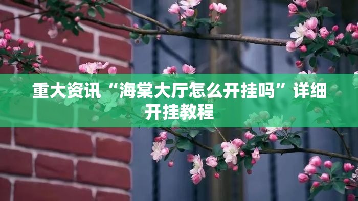 重大资讯“海棠大厅怎么开挂吗”详细开挂教程