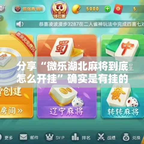 分享“微乐湖北麻将到底怎么开挂”确实是有挂的