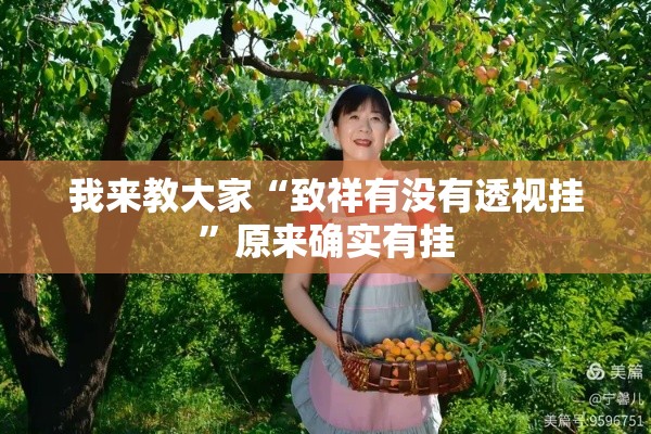 教大家使用“甘孜娱乐中心可不可以开辅助挂”详细辅助