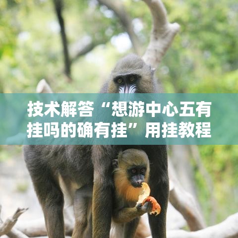 技术解答“想游中心五有挂吗的确有挂	”用挂教程