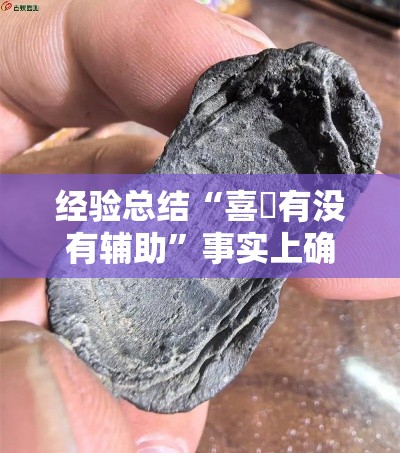 经验总结“喜園有没有辅助”事实上确实有挂