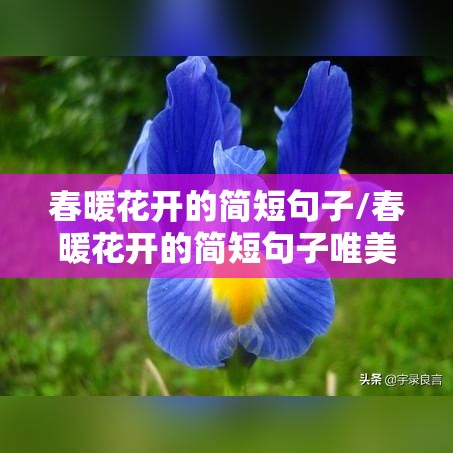 春暖花开的简短句子/春暖花开的简短句子唯美