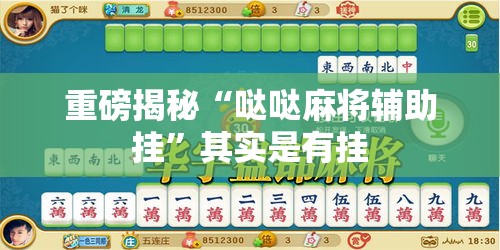 重磅揭秘“哒哒麻将辅助挂”其实是有挂