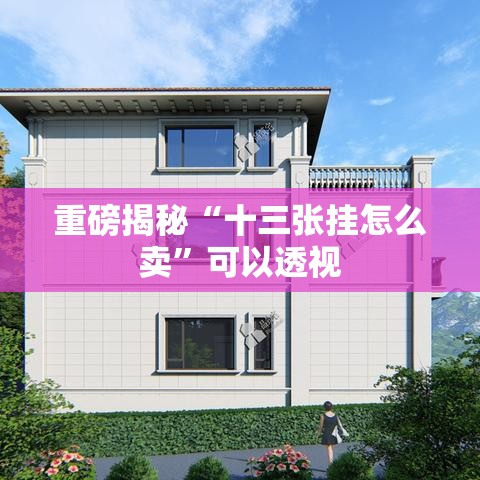 重磅揭秘“十三张挂怎么卖”可以透视