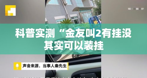 科普实测“金友叫2有挂没其实可以装挂 科普实测“金友叫2有挂没其实可以装挂