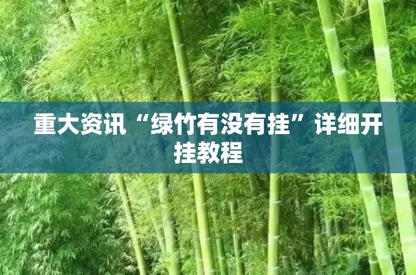 重大资讯“绿竹有没有挂”详细开挂教程