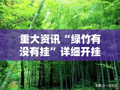 重大资讯“绿竹有没有挂”详细开挂教程