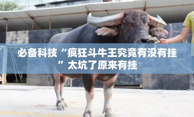 必备科技“疯狂斗牛王究竟有没有挂”太坑了原来有挂