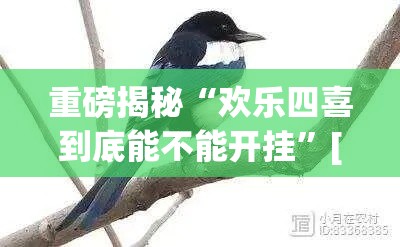 重磅揭秘“欢乐四喜到底能不能开挂”[原来真的有挂]