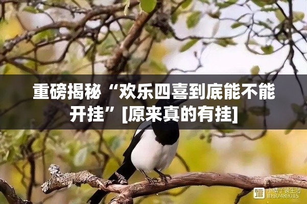 重磅揭秘“欢乐四喜到底能不能开挂”[原来真的有挂]