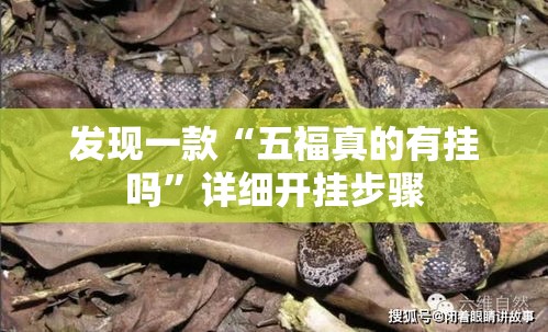 发现一款“五福真的有挂吗”详细开挂步骤