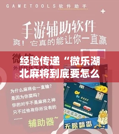 经验传递“微乐湖北麻将到底要怎么用挂	”开挂作弊