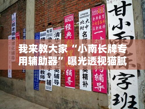 我来教大家“小南长牌专用辅助器”曝光透视猫腻