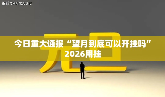 今日重大通报“望月到底可以开挂吗”2026用挂