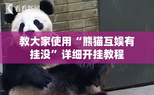 教大家使用“熊猫互娱有挂没”详细开挂教程