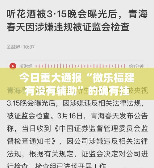 今日重大通报“微乐福建有没有辅助”的确有挂