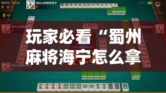 玩家必看“蜀州麻将海宁怎么拿好牌	”详细开挂步骤