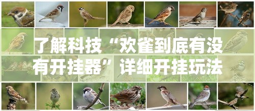 了解科技“欢雀到底有没有开挂器”详细开挂玩法