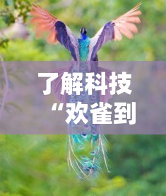 了解科技“欢雀到底有没有开挂器”详细开挂玩法