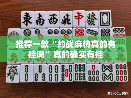 推荐一款“约战麻将真的有挂吗”真的确实有挂