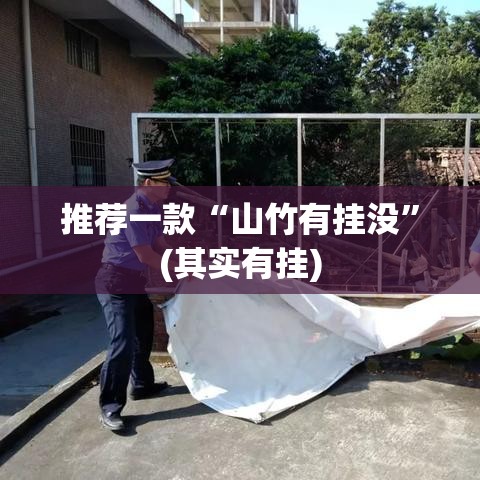 推荐一款“山竹有挂没”(其实有挂)
