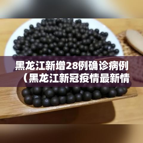 黑龙江新增28例确诊病例(黑龙江新冠疫情最新情况) 黑龙江新增28例确诊病例(黑龙江新冠疫情最新情况)