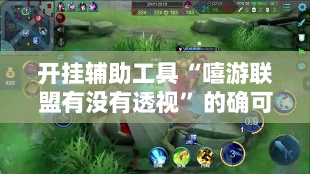开挂辅助工具“嘻游联盟有没有透视”的确可以开挂