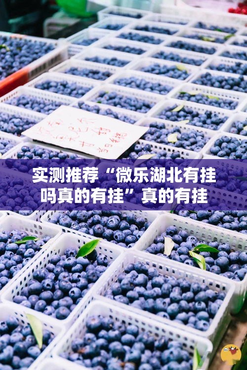实测推荐“微乐湖北有挂吗真的有挂”真的有挂