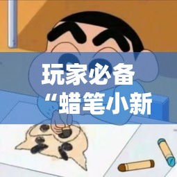 玩家必备“蜡笔小新是不是有挂吗”太坑了真的有挂