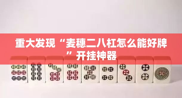 重大发现“麦穗二八杠怎么能好牌	”开挂神器