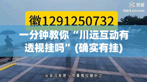 一分钟教你“川远互动有透视挂吗”(确实有挂)