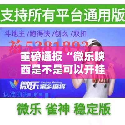 重磅通报“微乐陕西是不是可以开挂”事实上真的有挂