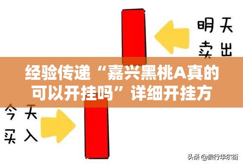 经验传递“嘉兴黑桃A真的可以开挂吗	”详细开挂方法
