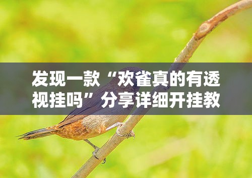 发现一款“欢雀真的有透视挂吗	”分享详细开挂教程