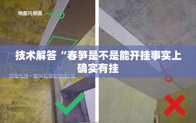技术解答“春笋是不是能开挂事实上确实有挂