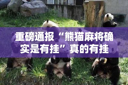 重磅通报“熊猫麻将确实是有挂”真的有挂