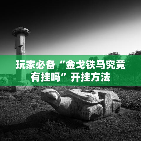 玩家必备“金戈铁马究竟有挂吗”开挂方法