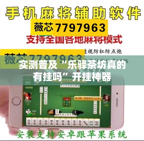 实测普及“乐驿茶坊真的有挂吗”开挂神器