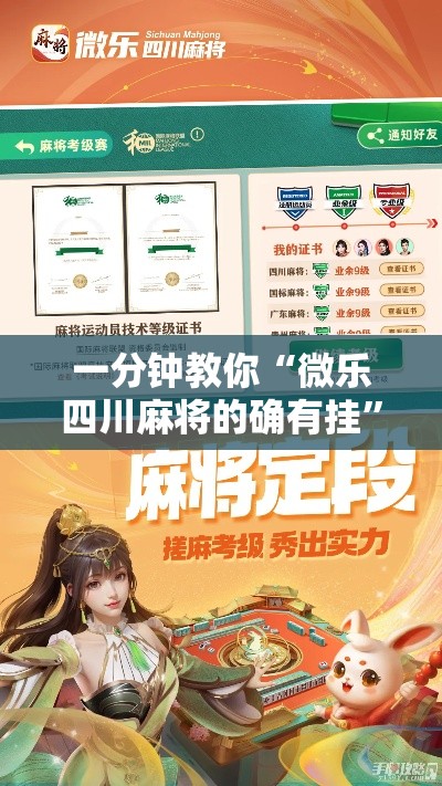 一分钟教你“微乐四川麻将的确有挂”原来确实有挂