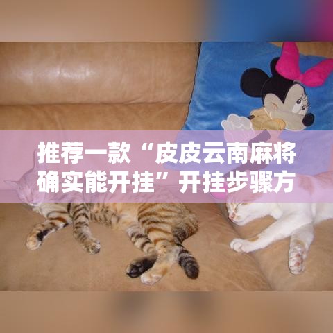 推荐一款“皮皮云南麻将确实能开挂”开挂步骤方法